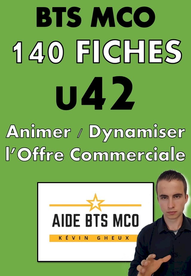 AIDE BTS MCO 140 Fiches de Révision E42 Animer et dynamiser l offre