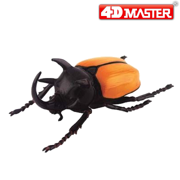 《4D MASTER》 昆蟲系列-五角大兜FIVE HORN BEETLE