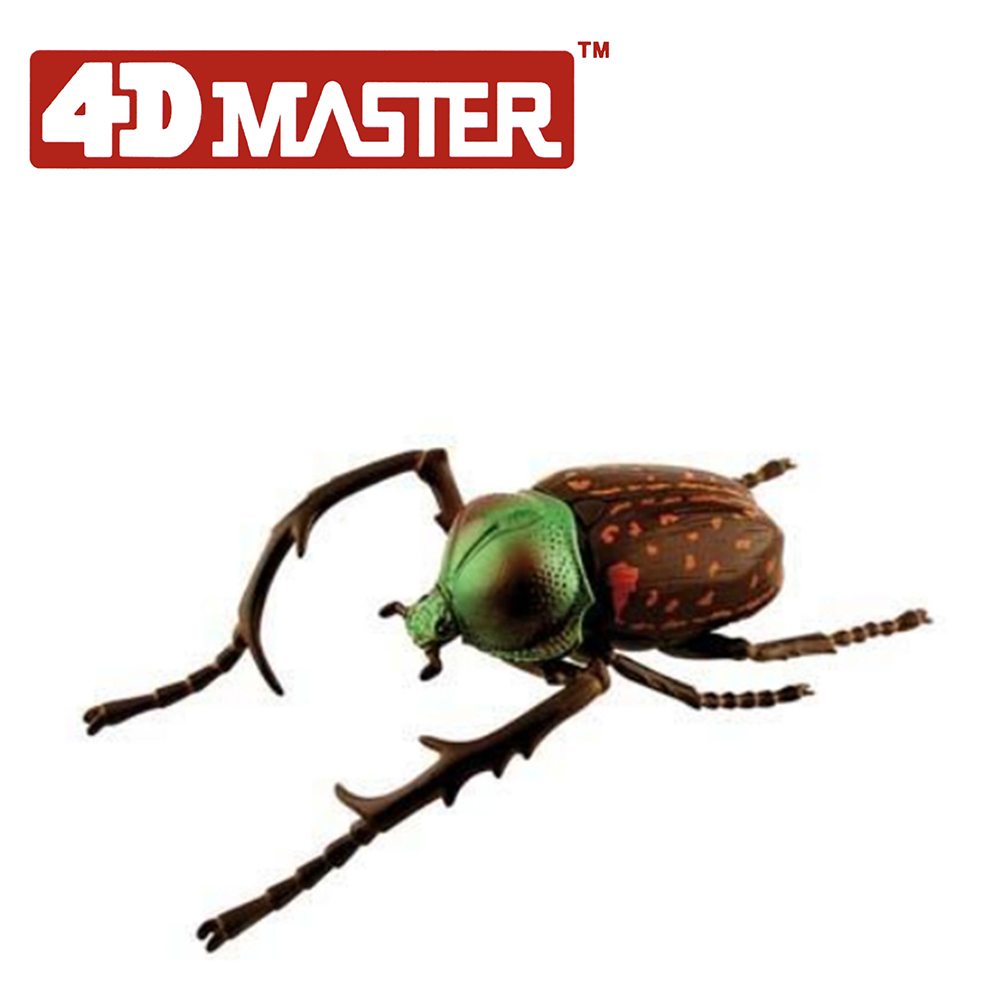 《4D MASTER》 昆蟲系列-小甲蟲 Longarms Beetle