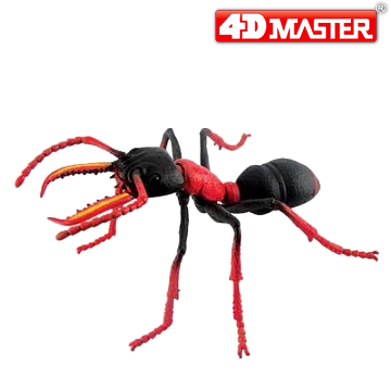《4D MASTER》昆蟲系列-鬥牛蟻BULLDOG ANT