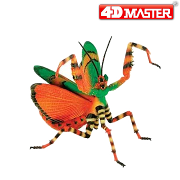 《4D MASTER》昆蟲系列-魔花螳螂FLOWER MANTIS