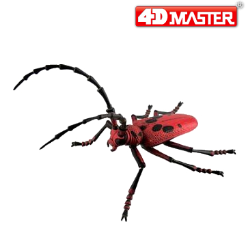 《4D MASTER》昆蟲系列-天牛甲蟲LONGHORN BEETLE