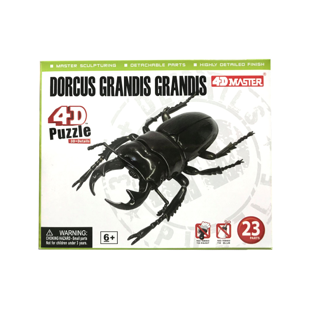 《4D MASTER》甲蟲系列-寮國大鍬形蟲DORCUS GRANDIS GRANDIS BEETLE