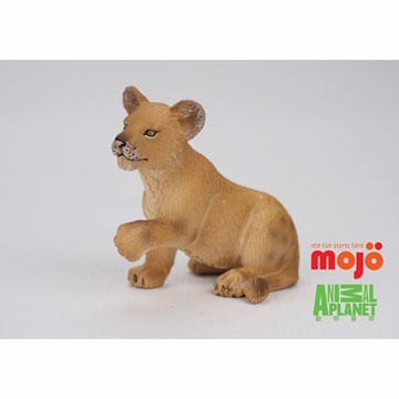 【MOJO FUN 動物模型】動物星球頻道獨家授權 - 小獅子