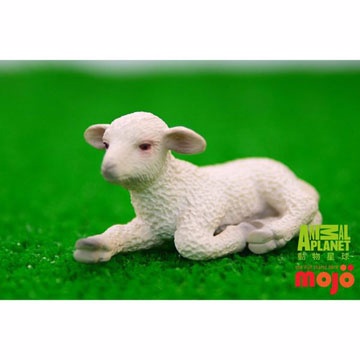 【MOJO FUN 動物模型】動物星球頻道獨家授權 - 小綿羊 (躺姿)