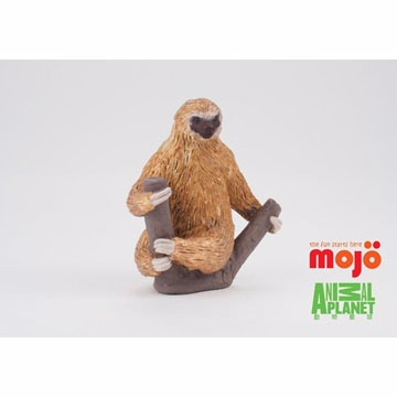 【MOJO FUN 動物模型】動物星球頻道獨家授權 - 二趾樹懶