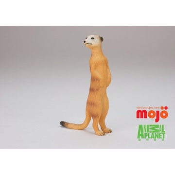 【MOJO FUN 動物模型】動物星球頻道獨家授權 - 狐獴