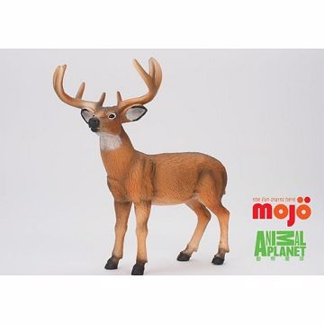 【MOJO FUN 動物模型】動物星球頻道獨家授權 - 白尾雄鹿