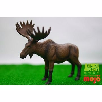 【MOJO FUN 動物模型】動物星球頻道獨家授權 - 美洲麋鹿