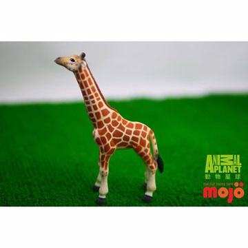 【MOJO FUN 動物模型】動物星球頻道獨家授權 - 小長頸鹿