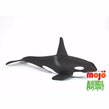 【MOJO FUN 動物模型】動物星球頻道獨家授權 - 虎鯨