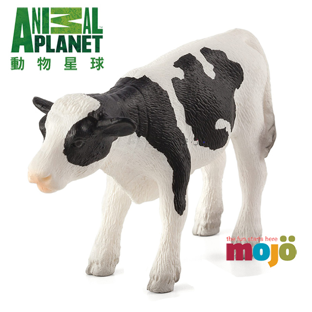 【MOJO FUN 動物模型】動物星球頻道獨家授權 - 小乳牛