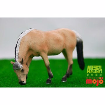 【MOJO FUN 動物模型】動物星球頻道獨家授權 - 母峽灣馬