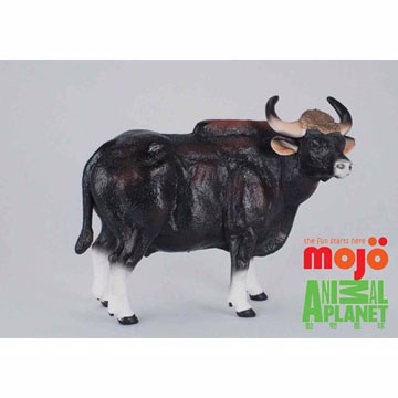 【MOJO FUN 動物模型】動物星球頻道獨家授權 - 印度野牛