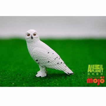 【MOJO FUN 動物模型】動物星球頻道獨家授權 - 雪鴞