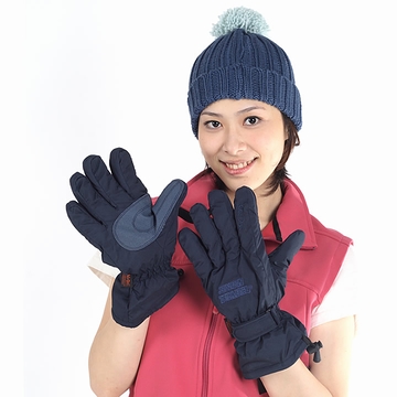《SNOW TRAVEL》POLARTEC藍色保暖透氣雙層防風手套