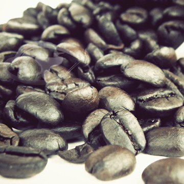 Gustare caffe 精選西達摩咖啡豆(半磅)