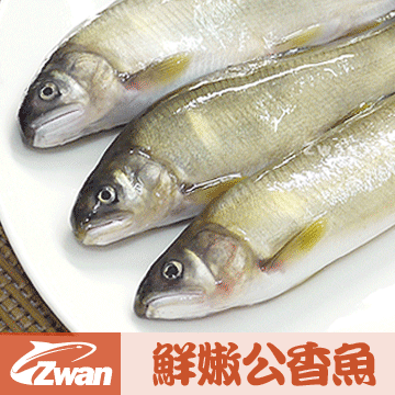 【日丸水產】宜蘭鮮嫩公香魚(10尾/盒/1kg)