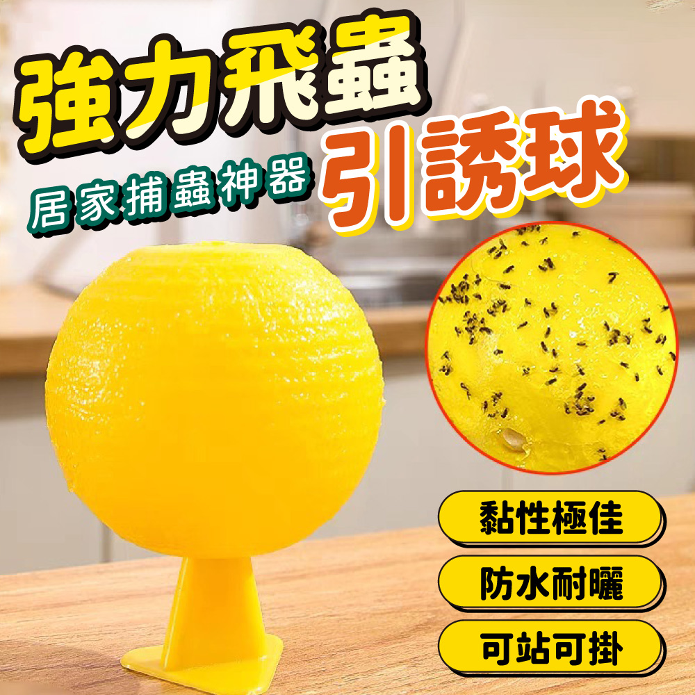 升級版強力果蠅飛蟲誘捕器(超值5入)