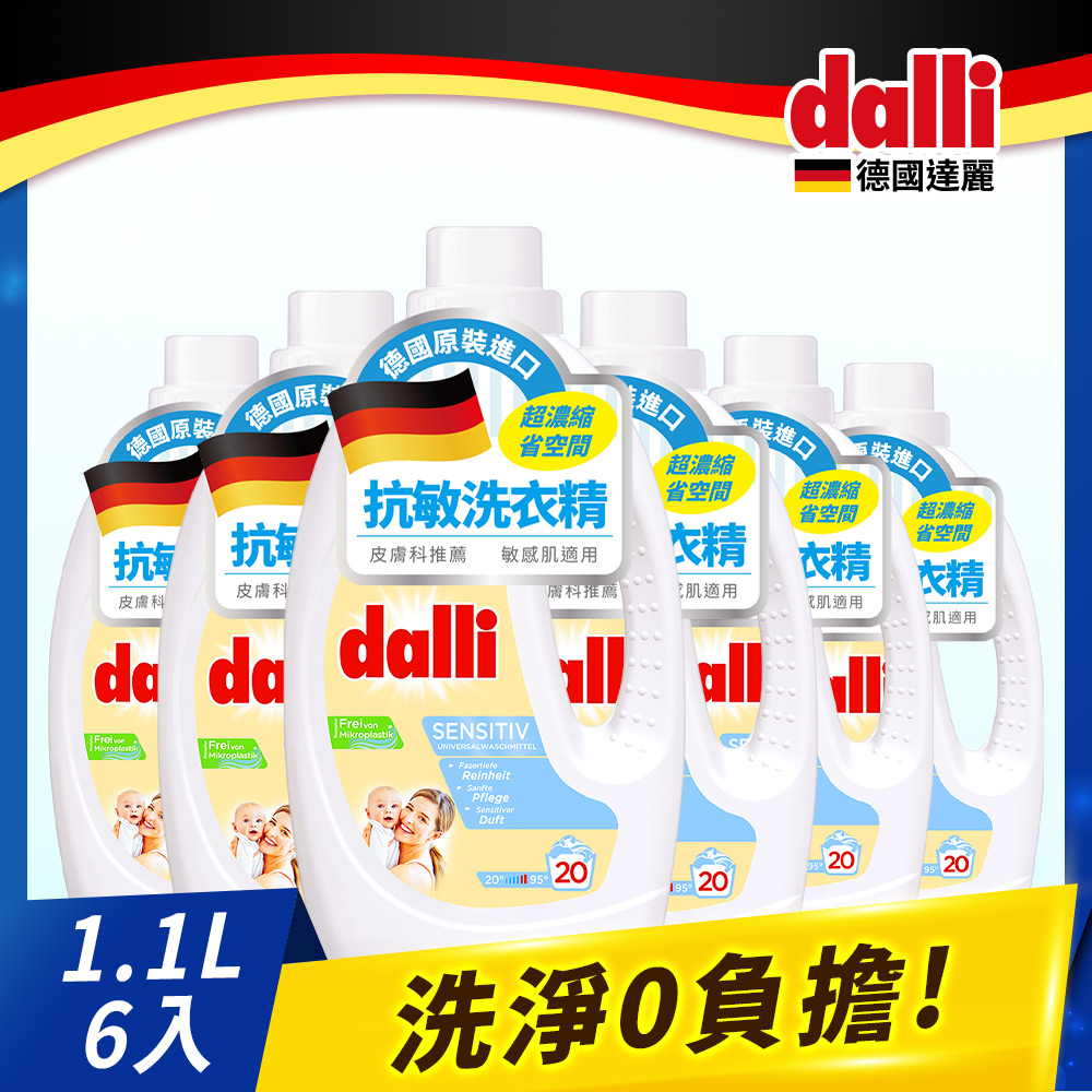 德國Dalli抗敏洗衣精1.1L(6入/箱)