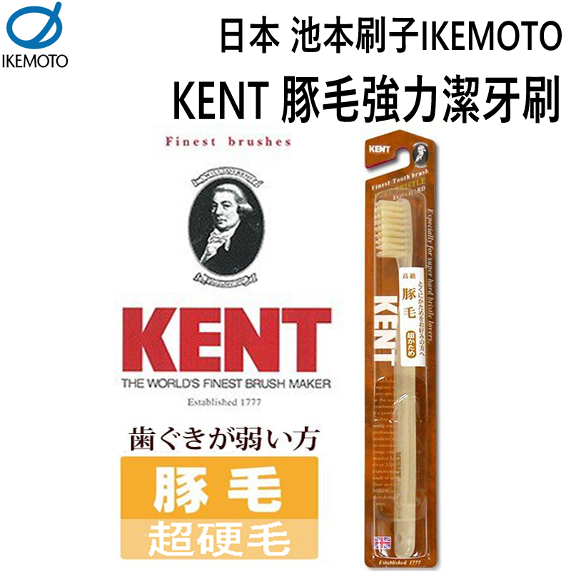 日本池本 IKEMOTO 豚毛強力潔牙刷 (KNT-2433)