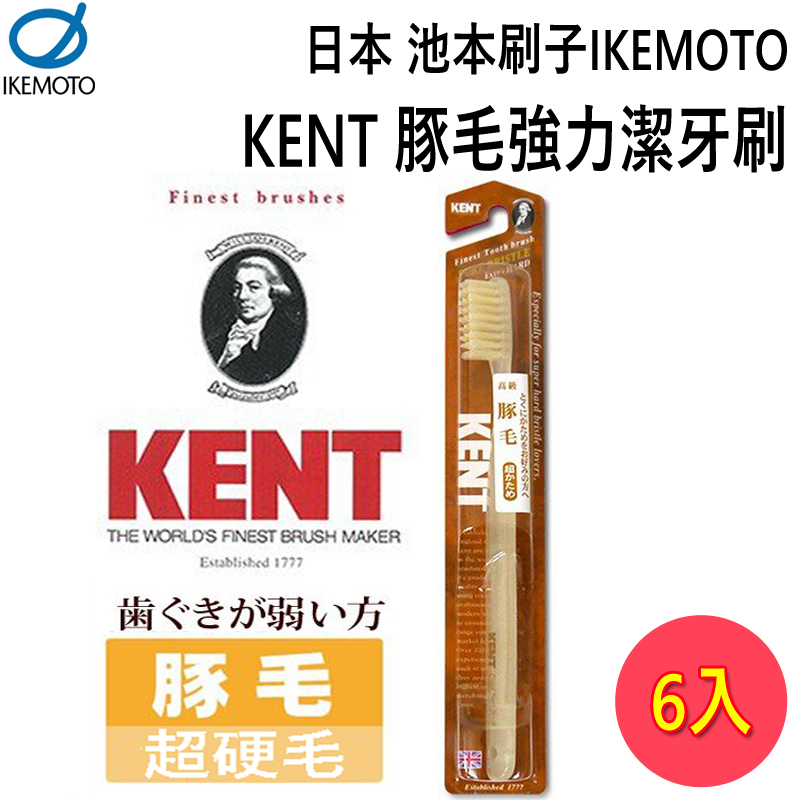 日本池本 IKEMOTO 豚毛強力潔牙刷 (KNT-2433) 6入組