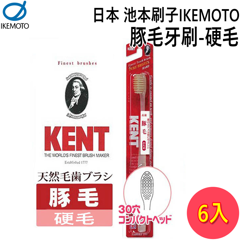 日本池本IKEMOTO 豚毛牙刷-硬毛 (KNT-1333) 6入組
