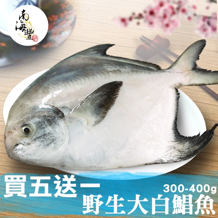 限量買5送1！南海豐【野生大白鯧魚】頂級海鮮食材 肉質細嫩 少刺甜美