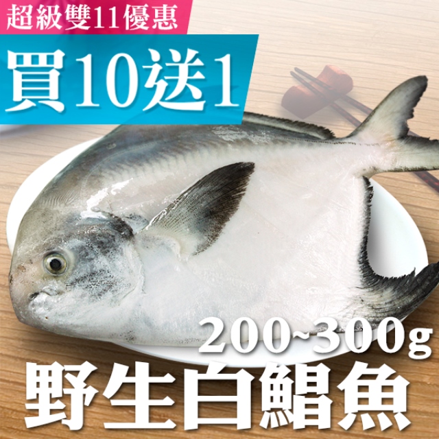 超級雙11限量買10送1！南海豐【野生大白鯧魚】頂級海鮮食材 肉質細嫩
