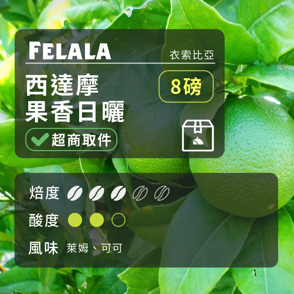 【費拉拉】【中烘焙】西達摩 果香日曬 咖啡豆 8磅