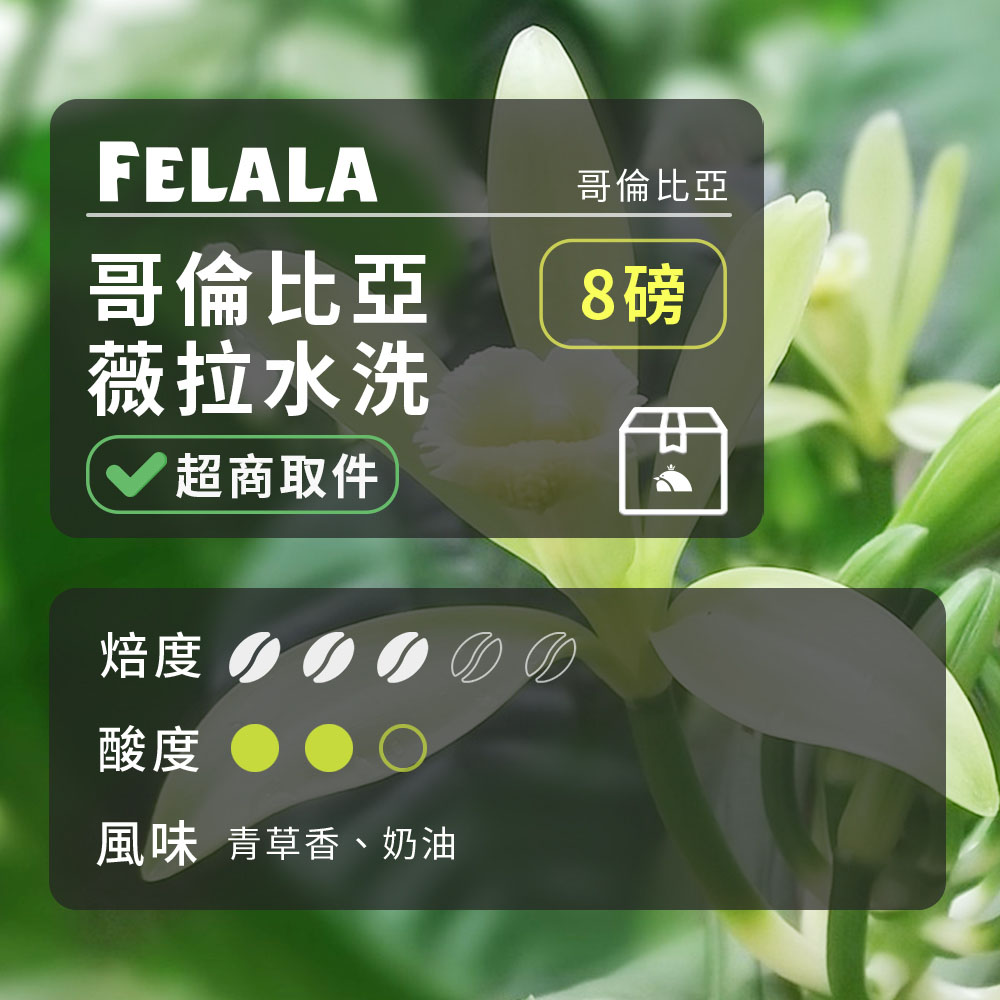 【費拉拉】【中烘焙】哥倫比亞 薇拉水洗 咖啡豆 8磅