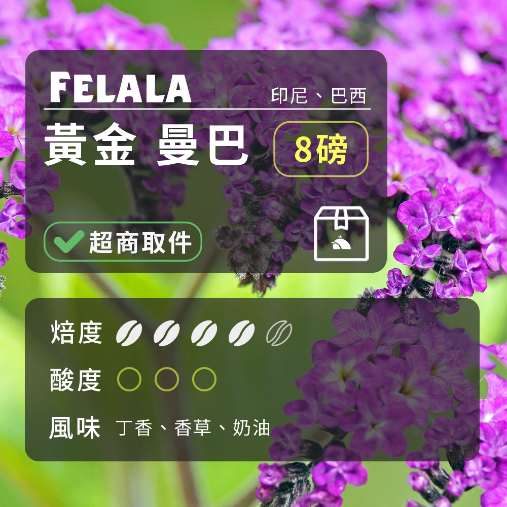 【費拉拉】【中深烘焙】黃金 曼巴 咖啡豆 8磅