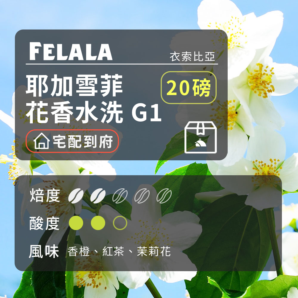 【費拉拉】【中淺烘焙】耶加雪菲 花香水洗 咖啡豆 20磅箱購