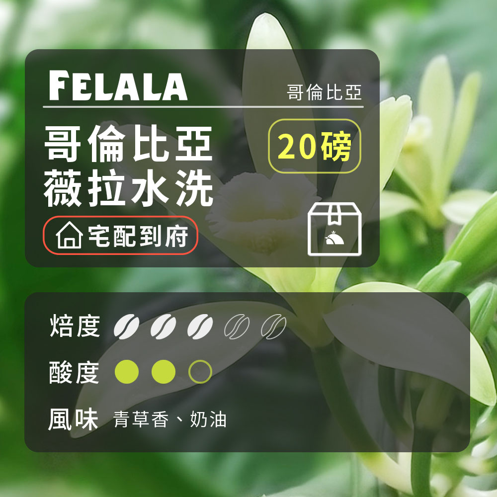【費拉拉】【中烘焙】哥倫比亞 薇拉水洗 咖啡豆 20磅