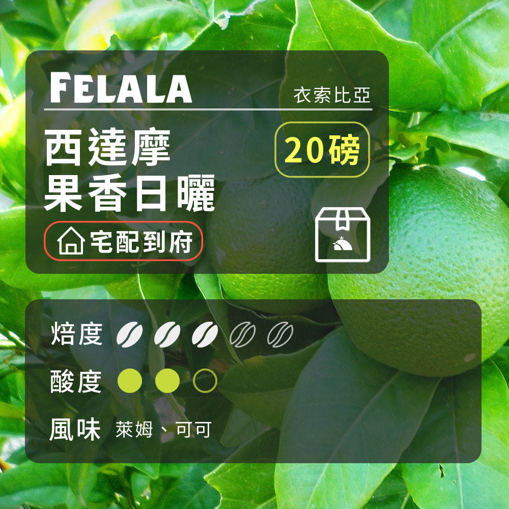 【費拉拉】【中烘焙】西達摩 果香日曬 咖啡豆 20磅