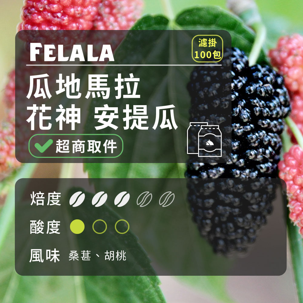 【費拉拉】【中淺烘焙】瓜地馬拉 花神 安提瓜 濾掛咖啡包 100包
