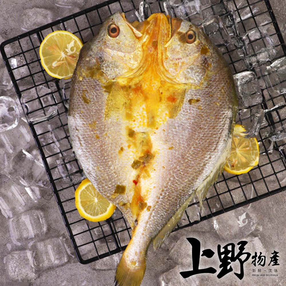 【上野物產】嚴選黃魚一夜干（210g±10%/隻）x3隻