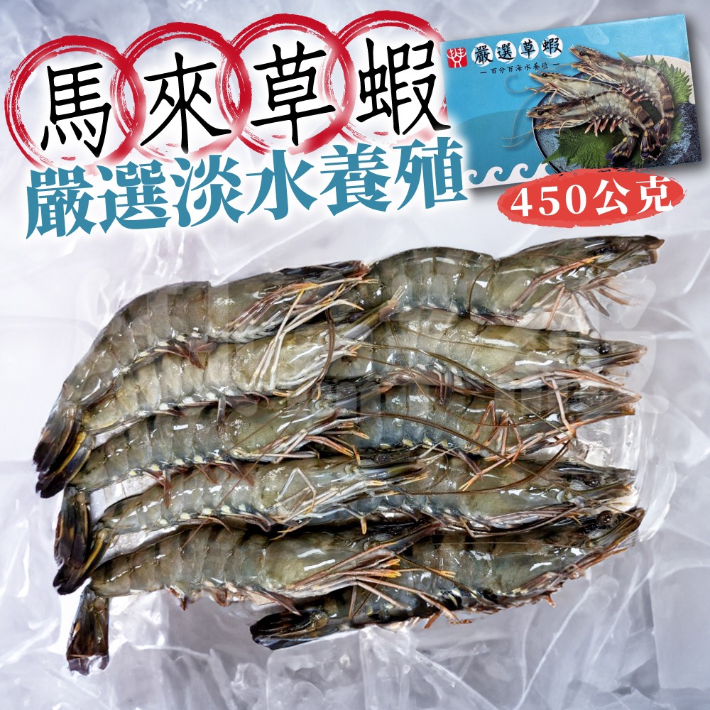 馬來草蝦 10P 約450g/盒 淨重約 250g 淡水養殖