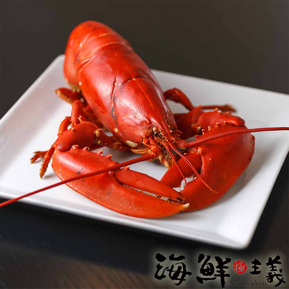 【海鮮主義】剖半熟波士頓龍蝦4隻組(400g±10%/隻)