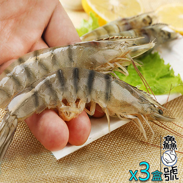 【鱻魚號】台灣海水自然養殖法L級白蝦11-15隻入組(淨重300公克±5%)x3盒