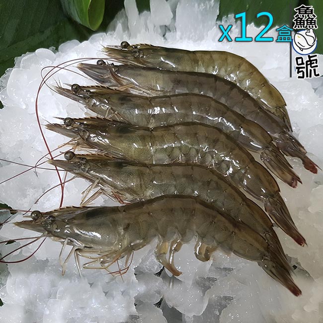 【鱻魚號】台灣海水自然養殖法L級白蝦11-15隻入組(淨重300公克±5%)x12盒