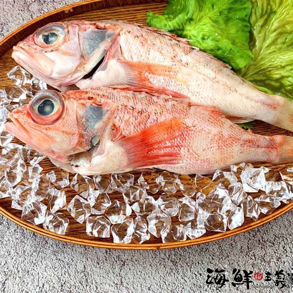 【海鮮主義】鮮美三去紅巖鱸魚5隻組(500g±10%/隻)