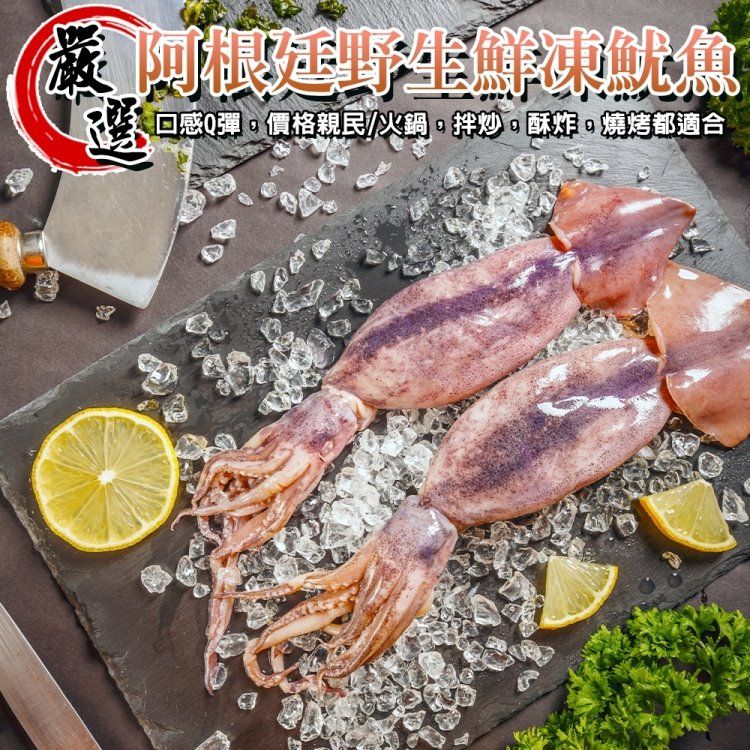 【海肉管家】嚴選阿根廷野生鮮凍魷魚(2尾/260-340g/包)