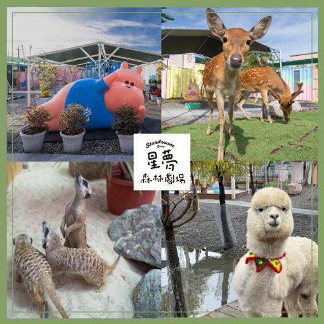 宜蘭【星夢森林劇場門票】平日單人全票(MO25)
