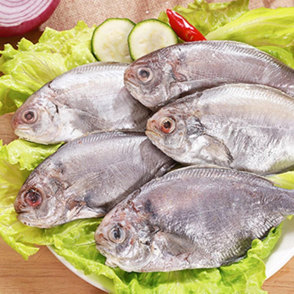 海之金 鮮嫩肉魚(500g±10%/包，6尾1包)