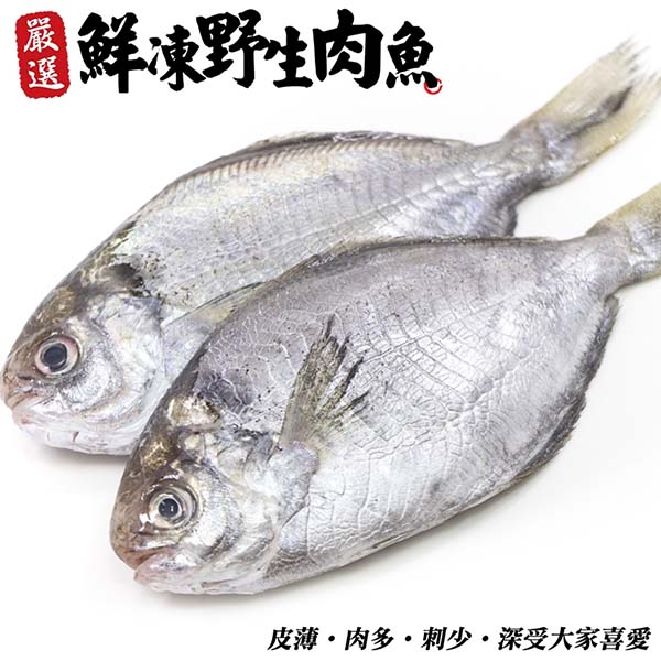 【海肉管家】鮮凍野生肉魚x4包(每包2尾/約200g)