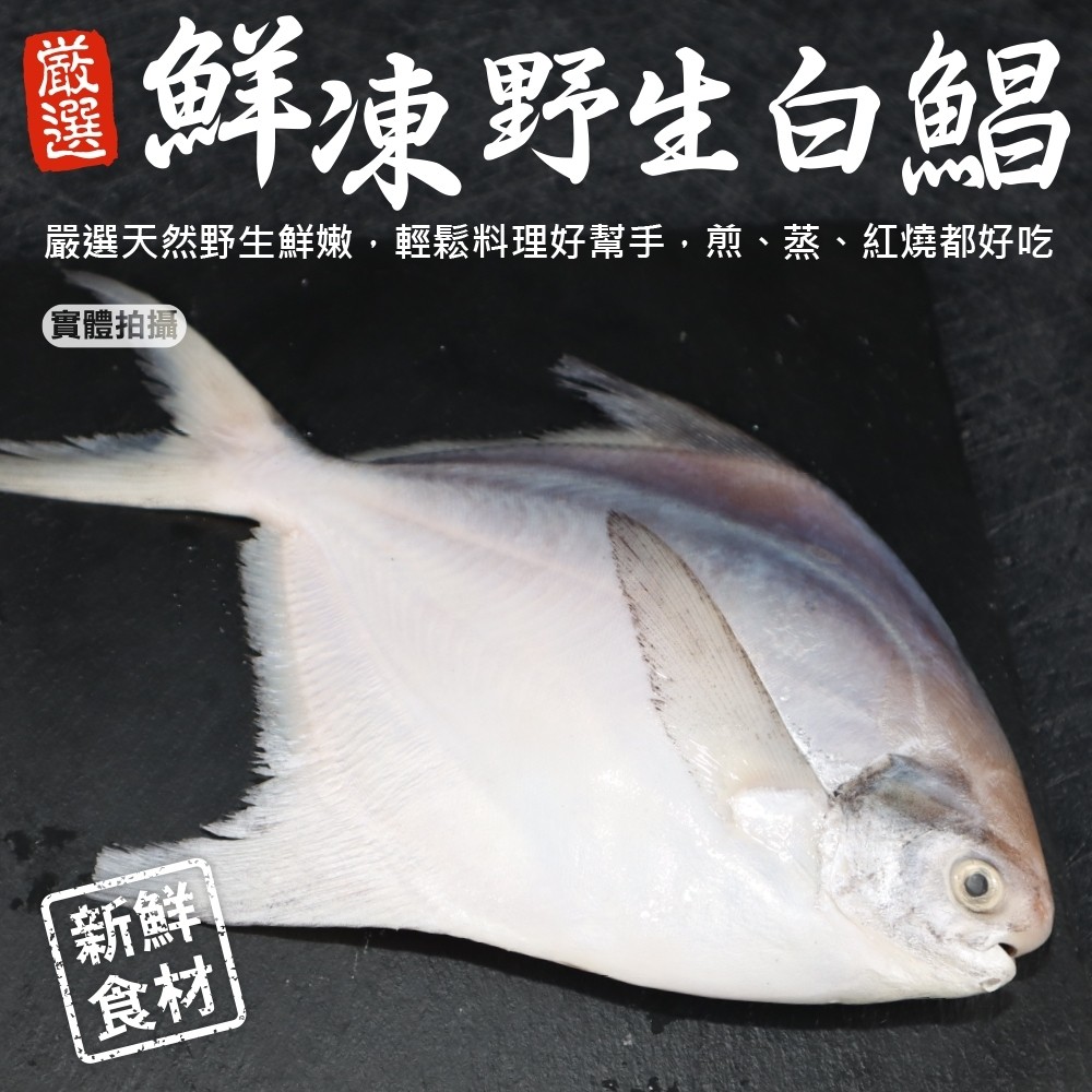 【三頓飯】鮮嫩野生白鯧魚(7尾組_220-280g/尾)