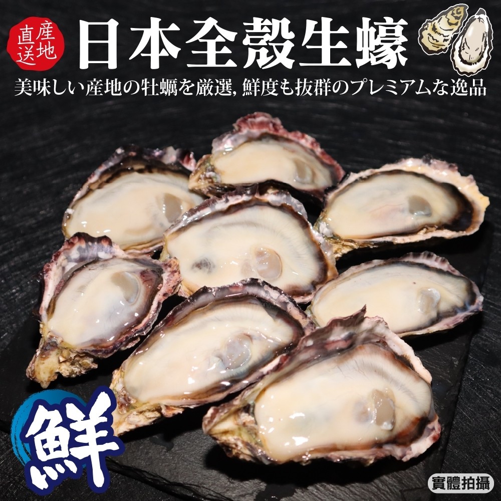 【三頓飯】日本廣島帶殼生蠔(共16顆_每包8顆/約75-100g/顆)