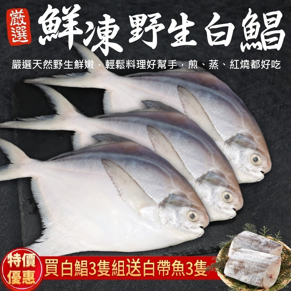 送白帶魚【三頓飯】鮮嫩野生白鯧魚(3尾組_220-280g/尾)