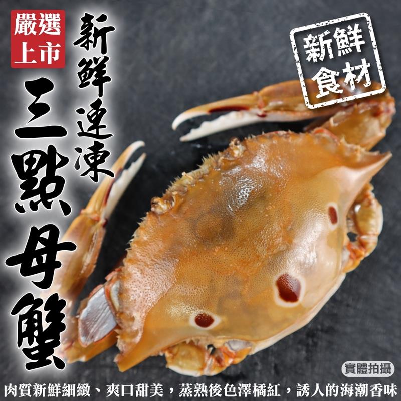 【海肉管家】活凍野生三點蟹-母蟹 共12隻(每包3隻 約500g/包)